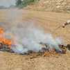 Ecofire, el invento español mejor que el agua contra todo tipo de incendios
