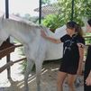 El Palomar, un refugio animal heroico en Chapinería frente al incendio