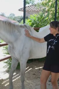 El Palomar, un refugio animal heroico en Chapinería frente al incendio