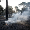 El incendio de la Sierra Oeste lleva  "muy al límite" al centro de rescate de animales 'Santuario Vegan'