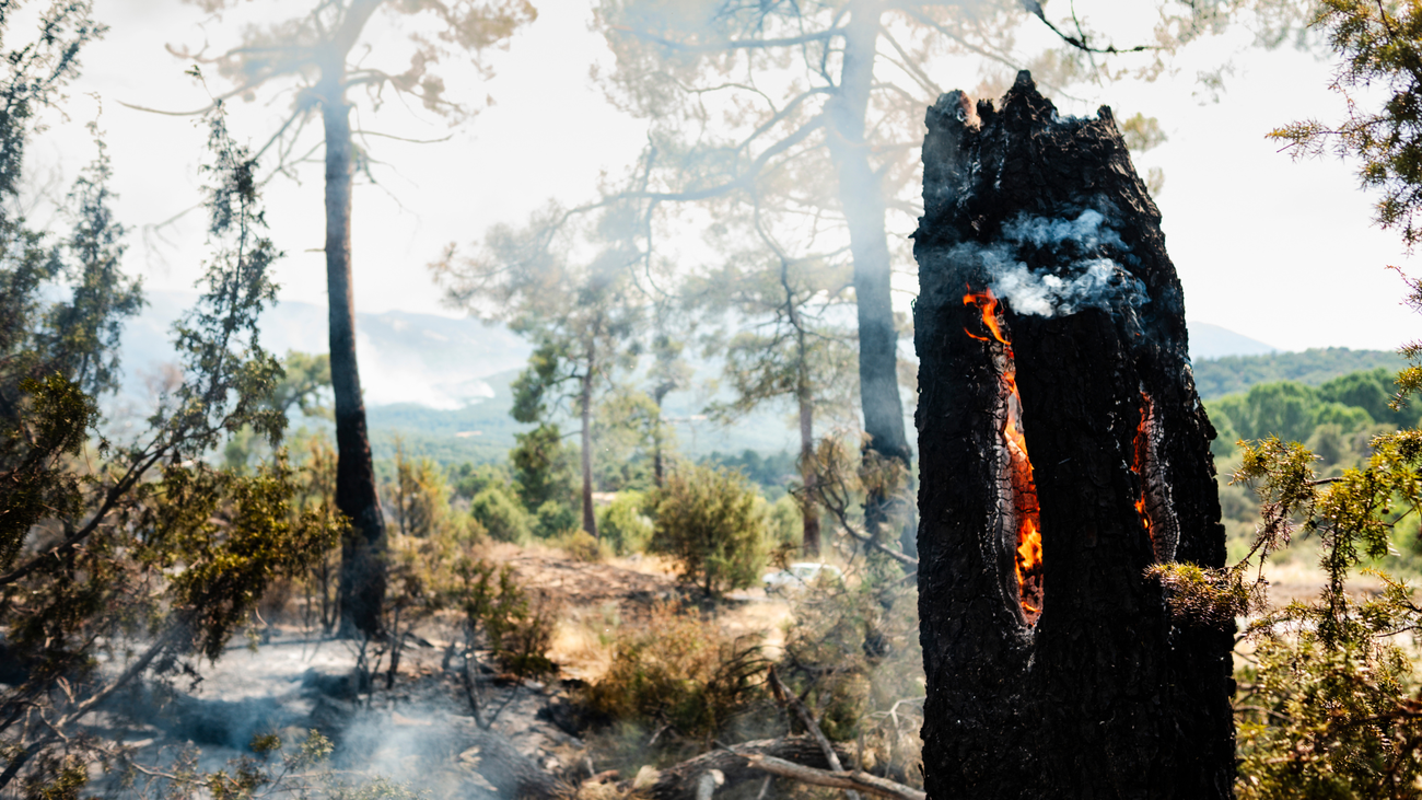DIRECTO | Incendio de la Sierra Oeste de Madrid: 300 efectivos trabajan con 60 medios en la extinción del fuego