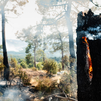 DIRECTO | Incendio de la Sierra Oeste de Madrid: 300 efectivos trabajan con 60 medios en la extinción del fuego
