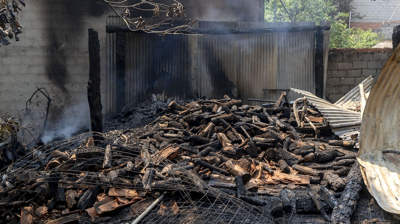 El Gobierno aprueba la declaración de zonas gravemente afectadas por los incendios