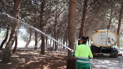 Arroyomolinos refresca sus zonas arboladas para combatir el estrés térmico
