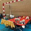 Asistencia veterinaria gratuita para las mascotas afectadas por los incendios