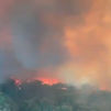 Un incendio en La Utrera (León) obliga a desalojar dos poblaciones y confinar otras dos