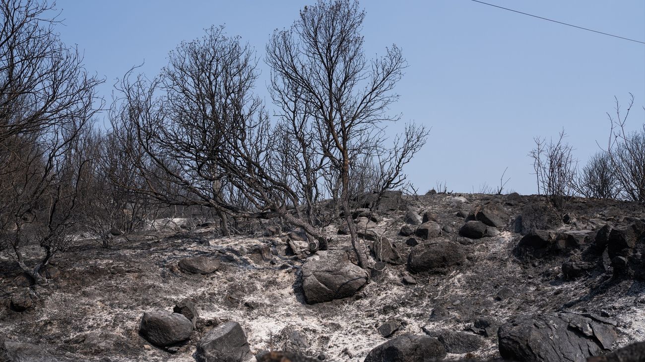 La problemática de los incendios en España: Cambio de prácticas en el campo y propiedad forestal privada