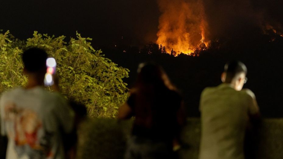 Los expertos alertan: la acumulación de combustible vegetal agrava los incendios forestales