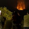 Los expertos alertan: la acumulación de combustible vegetal agrava los incendios forestales