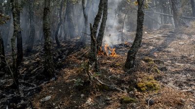 El incendio de la Sierra Oeste está estabilizado