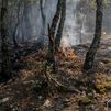 El incendio de la Sierra Oeste está estabilizado