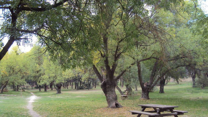 EL SOTILLO / Comunidad de Madrid