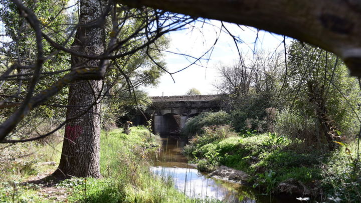 CAMINO DE MADRID. TRES CANTOS / Comunidad de Madrid