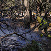 El incendio de la sierra oeste sigue evolucionando bien, sin reproducciones durante la noche