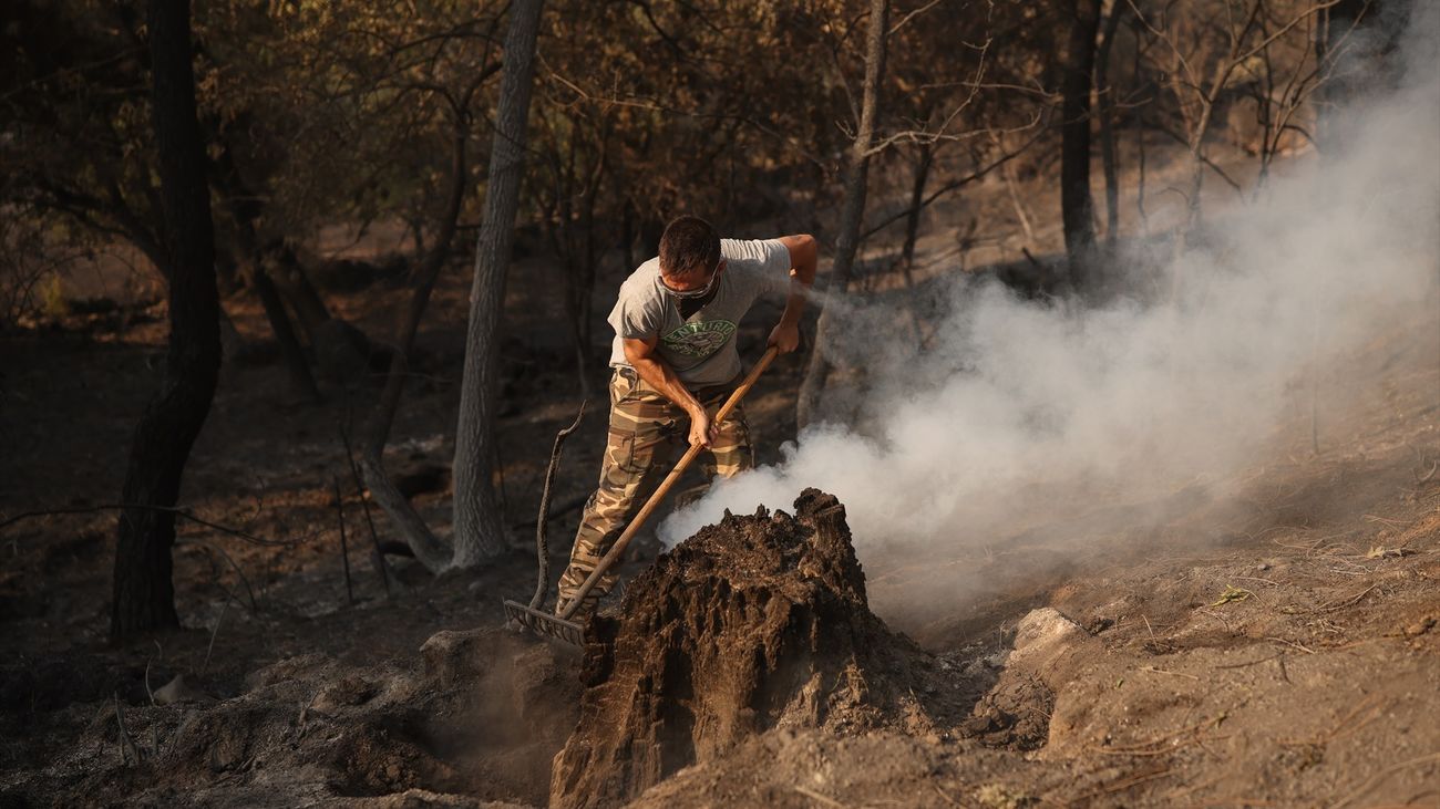 Una hombre trata de apagar lo que queda de fuego en el incendio forestal a las afueras de Casavieja