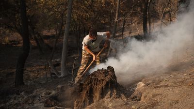El incendio de Burgohondo (Ávila), pendiente del viento y el calor para afianzar el perímetro