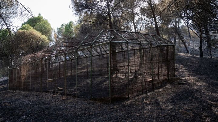 Voluntarios crean desde Alcorcón una red de ayuda a los afectados de la Sierra Oeste de Madrid y Ávila