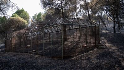 Voluntarios crean desde Alcorcón una red de ayuda a los afectados de la Sierra Oeste de Madrid y Ávila
