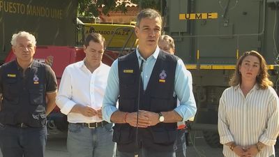 Sánchez anuncia que los incendios de Ávila y Madrid salen de la emergencia nacional