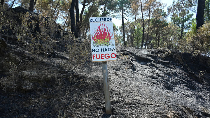 Modificadas las rutas de seis líneas interurbanas tras la prohibición del baño en San Juan
