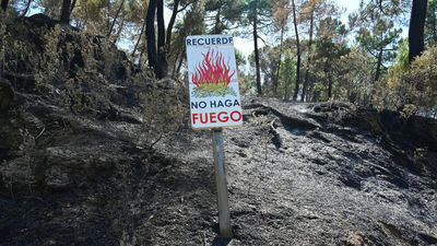 Modificadas las rutas de seis líneas interurbanas tras la prohibición del baño en San Juan