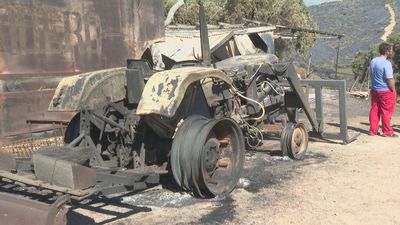Agricultores y ganaderos elevan a 18.500 las hectáreas afectadas en sus explotaciones