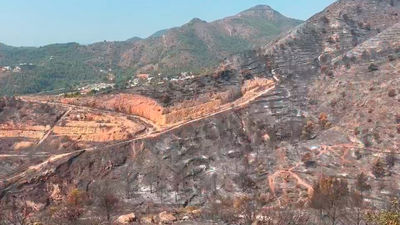 Los incendios en Zamora, Castellón y León continúan activos, con evolución favorable