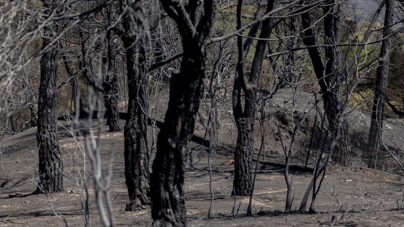 Pelayos de la Presa  intenta volver a la normalidad con el 74% del territorio calcinado