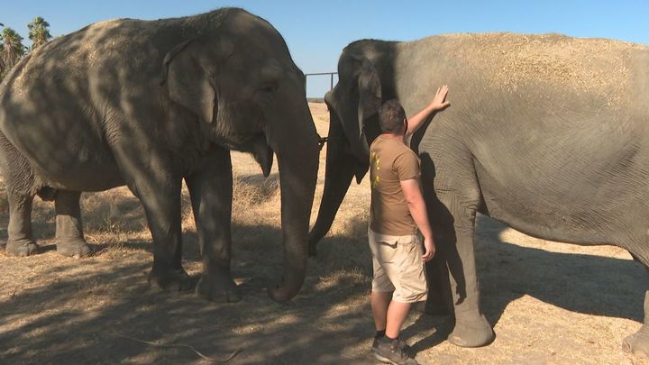 Así fue el protocolo de Safari Madrid que salvó a 2.000 animales del incendio
