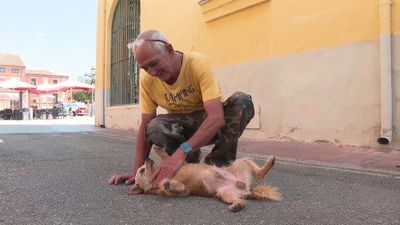 Julio pierde toda su finca en el incendio de Villa del Prado, pero logra salvar a su perro Lobito: "Se me ha ido el alma"