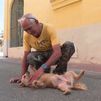 Julio pierde toda su finca en el incendio de Villa del Prado, pero logra salvar a su perro Lobito: "Se me ha ido el alma"