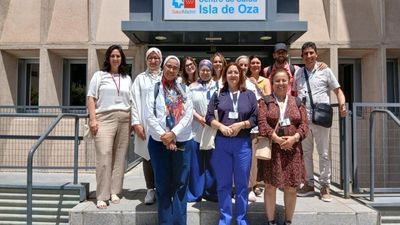 Madrid da a conocer su modelo sanitario a 12 delegaciones de América, África y Europa