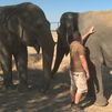Así fue el protocolo de Safari Madrid que salvó a 2.000 animales del incendio