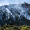 Robledo pide poder exhibir  la Copa del Mundo para recuperar la ilusión tras los incendios