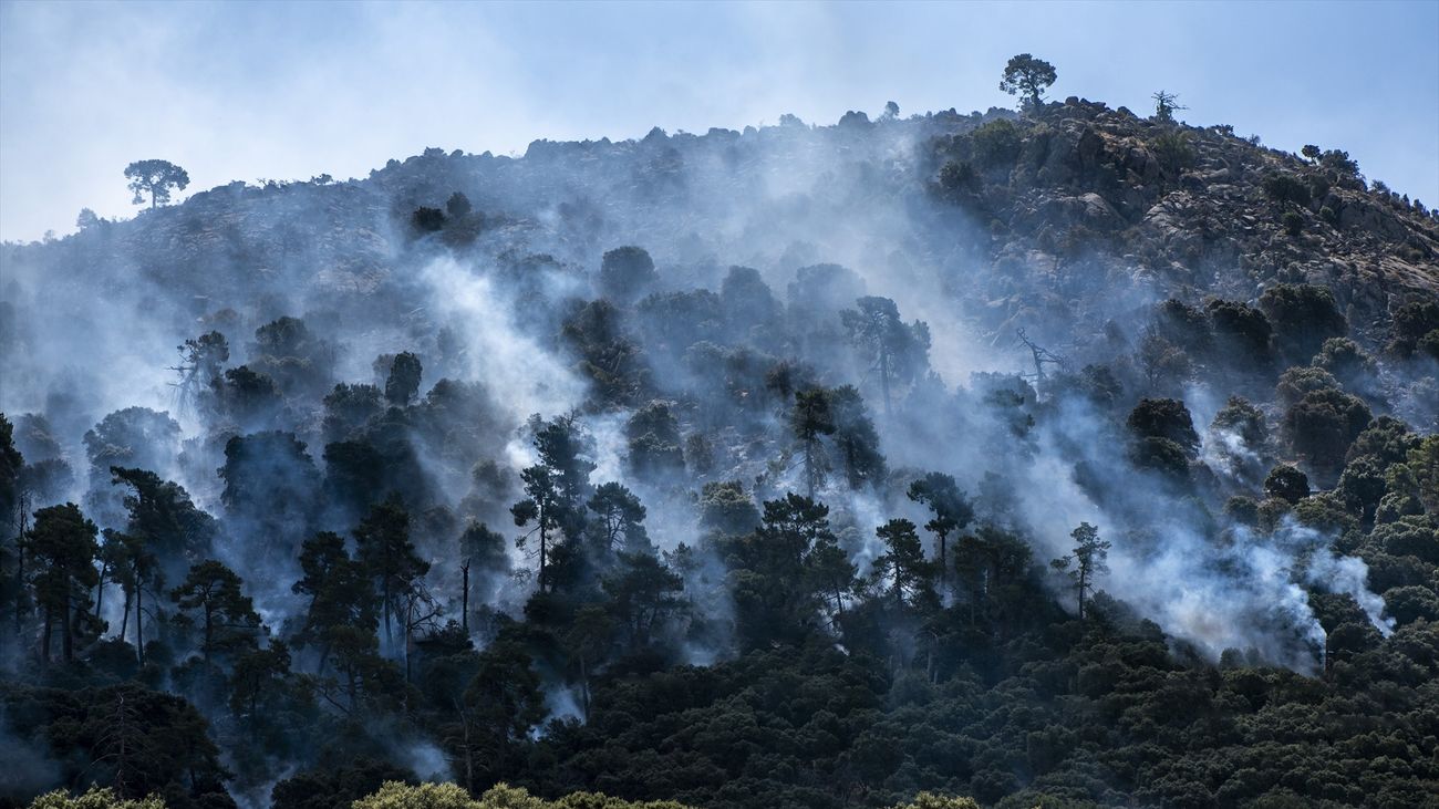 Árboles ardiendo en el monte de Robledo de Chavela en julio de 2026