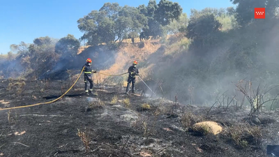 Controlado un incendio de vegetación junto a la depuradora de Villamantilla