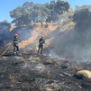 Controlado un incendio de vegetación junto a la depuradora de Villamantilla