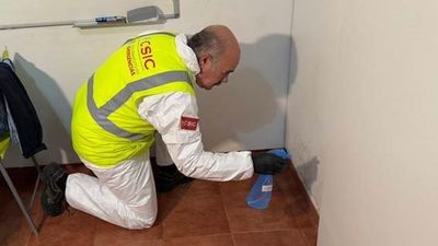 Si tienes moho en casa este invento del CSIC puede que te interese