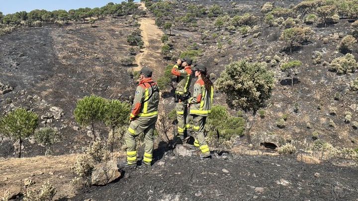 Agentes forestales controlan el incendio de la Sierra Oeste de Madrid