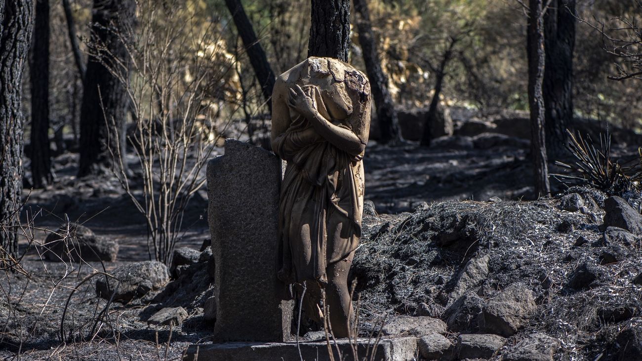 Una escultura quemada en el Jardín Botánico de La Adrada, Valle del Tiétar, por el incendio iniciado en Burgohondo (Ávila)