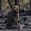 El incendio de Burgohondo (Ávila) seguirá activo al menos un mes más