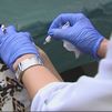Recomendaciones sanitarias para viajeros antes, durante y después de las vacaciones
