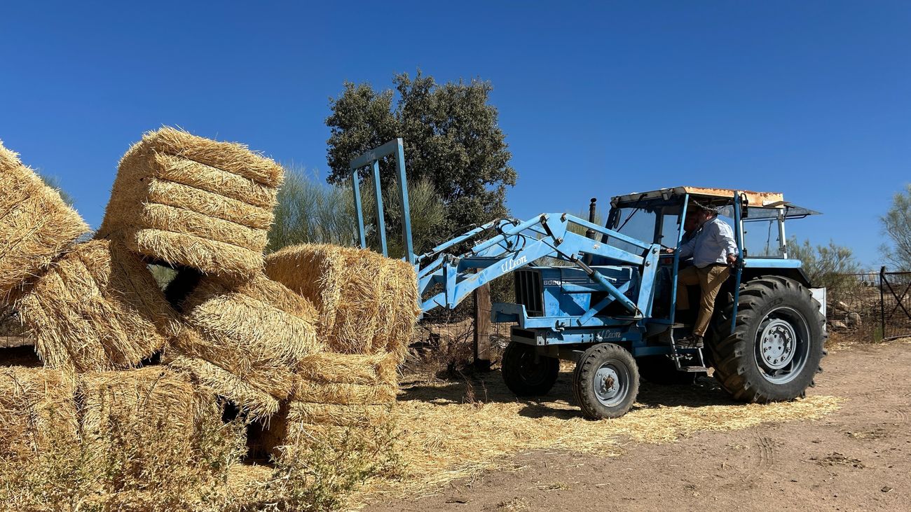 Medio millón de kilos de forraje para las ganaderías afectadas por el incendio de la Sierra Oeste