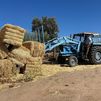Medio millón de kilos de forraje para las ganaderías afectadas por el incendio de la Sierra Oeste