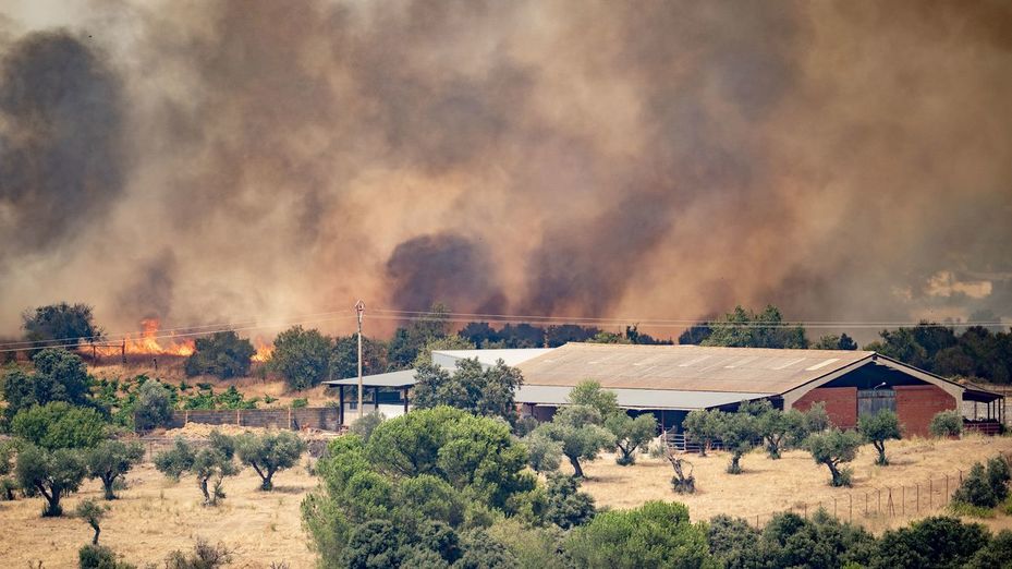 Los incendios forestales han arrasado ya 194.000 hectáreas en España, seis veces más que en 2025