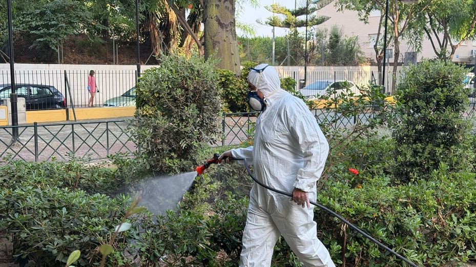Primera muerte por la Fiebre del Nilo este año en Andalucía