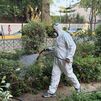 Primera muerte por la Fiebre del Nilo este año en Andalucía