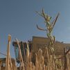 El sector agrícola madrileño cifra en 18.500 las hectáreas de tierra útil quemada tras los incendios