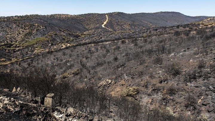 La Sierra oeste tras el paso del fuego / EUROPA PRESS