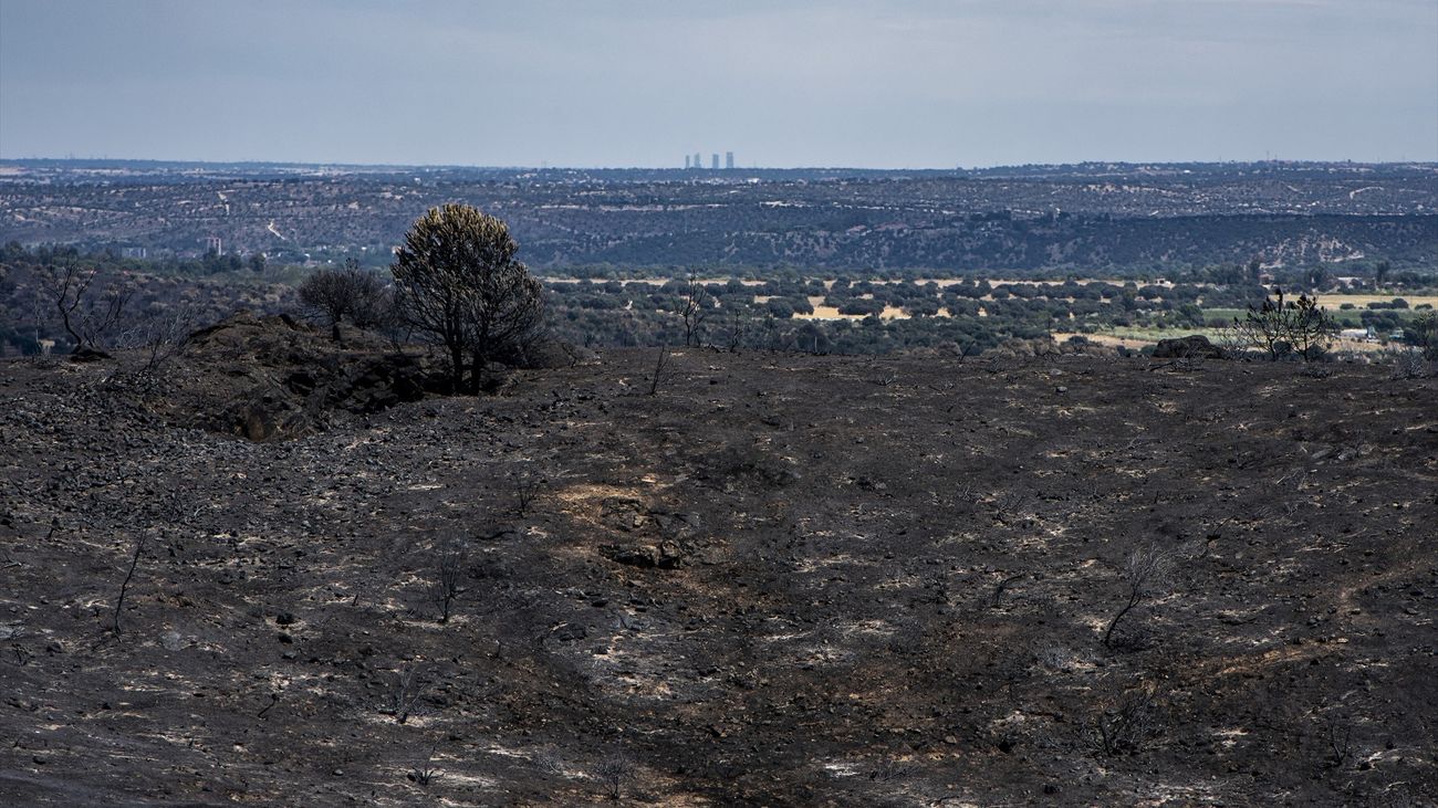 Tierra calcinada tras el paso de las llamas